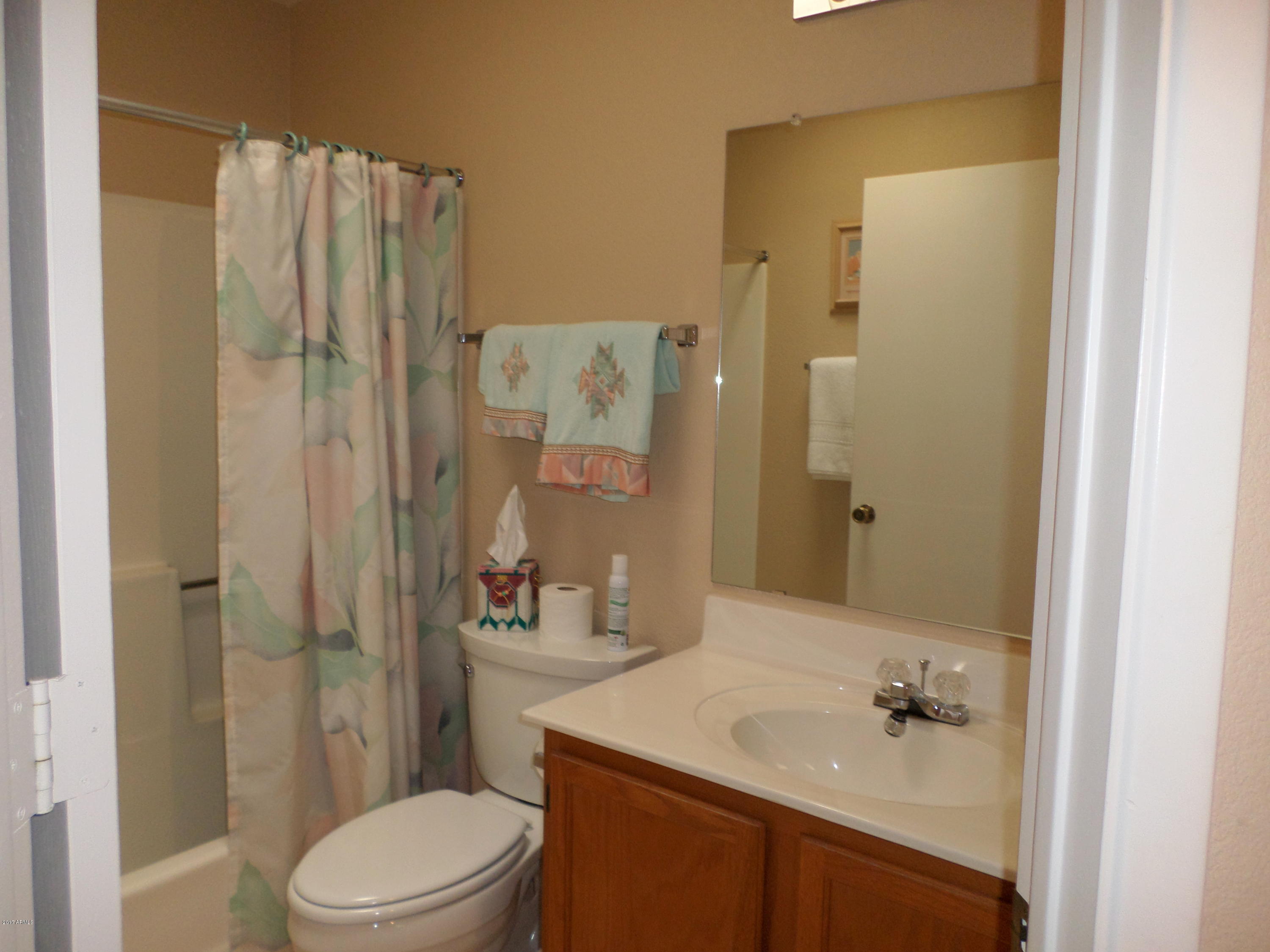 14300 West Bell Road, Unit 236 Surprise, AZ 85374 - Photo 8 of 29 SAM_0297A