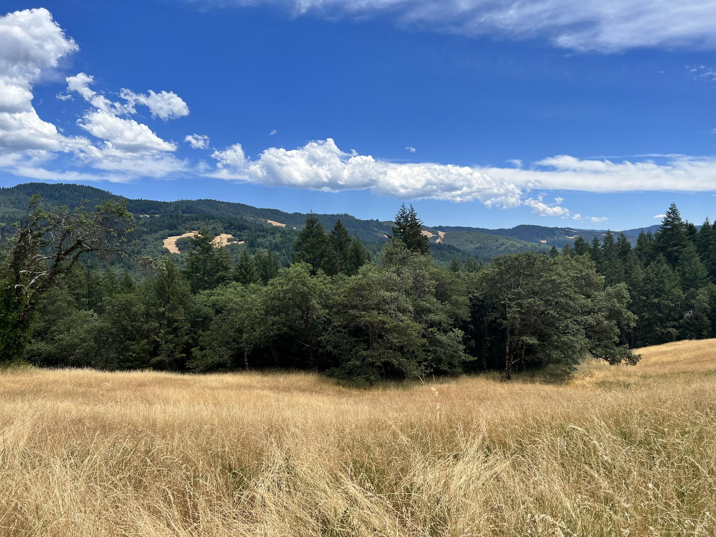 0 Stapp Road Kneeland, CA 95549 - Photo 3 of 13