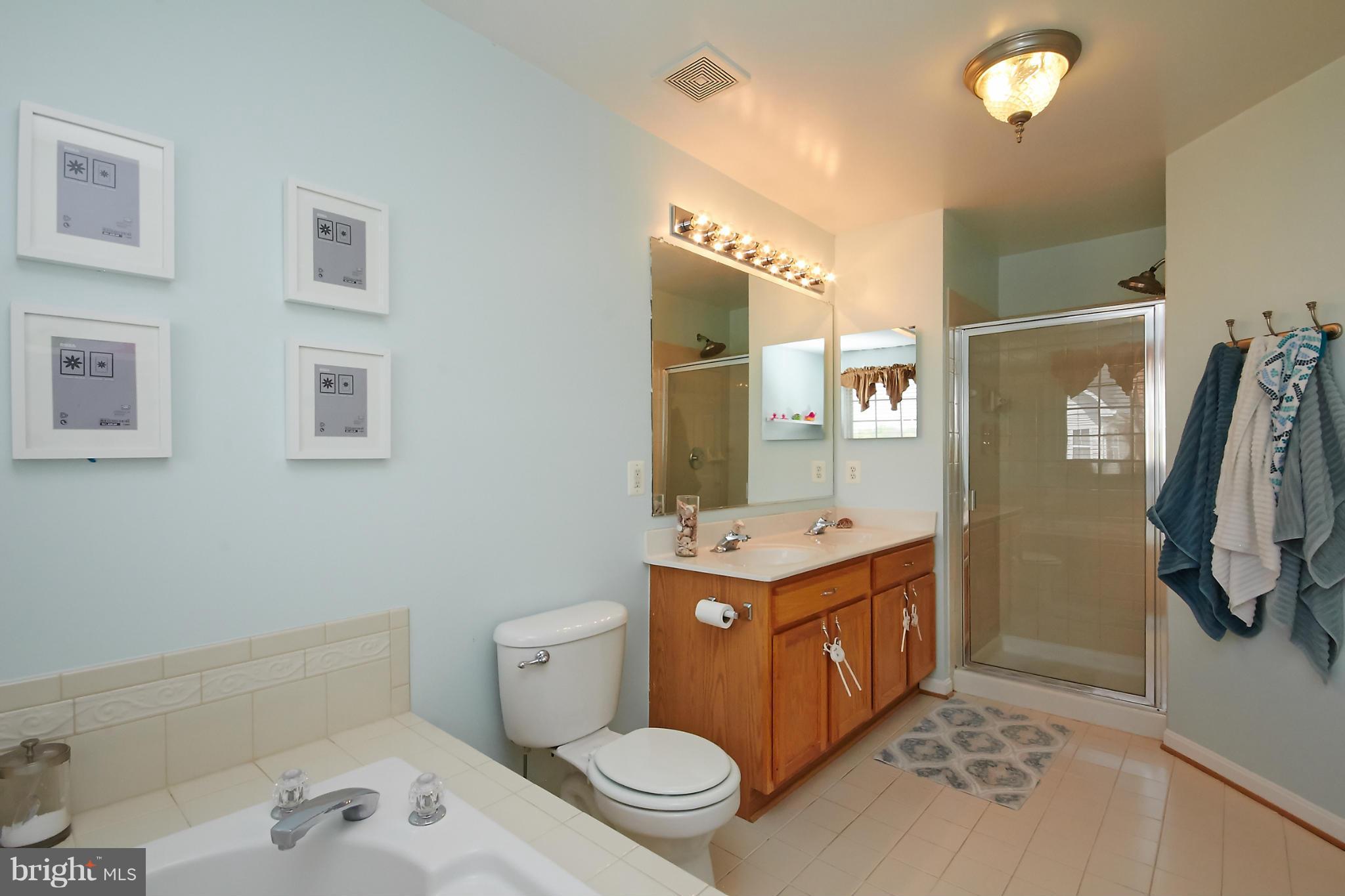 622 Springhouse Square Southeast Leesburg, VA 20175 - Photo 20 of 29 Bath (Master)