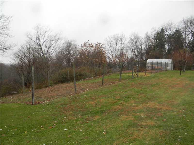 720 Meadowbrook Road Level Green, PA 15085 - Photo 17 of 19 Yard/Garden. Plum, Pear, & other fruit trees in this garden!