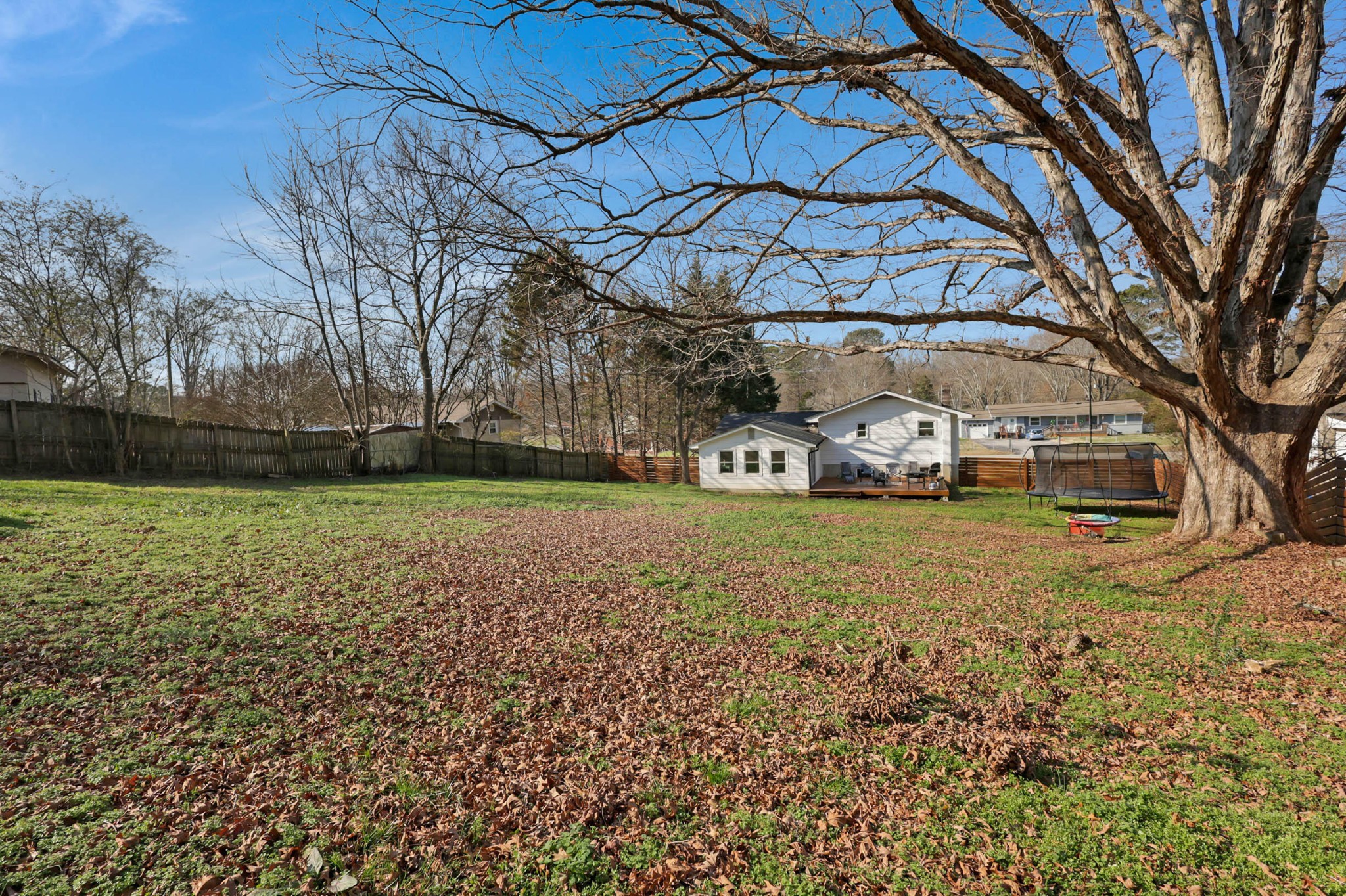 1881 Three Notch Road Ringgold, GA 30736 - Photo 25 of 27 a view of a trees in front of a house