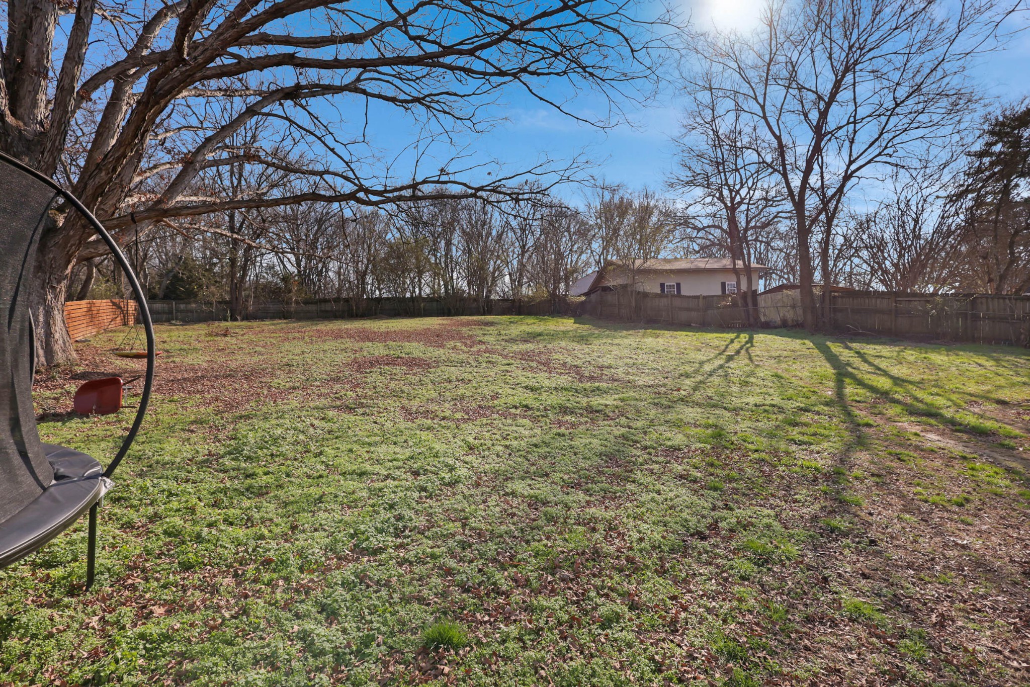 1881 Three Notch Road Ringgold, GA 30736 - Photo 26 of 27 a view of a yard with large trees