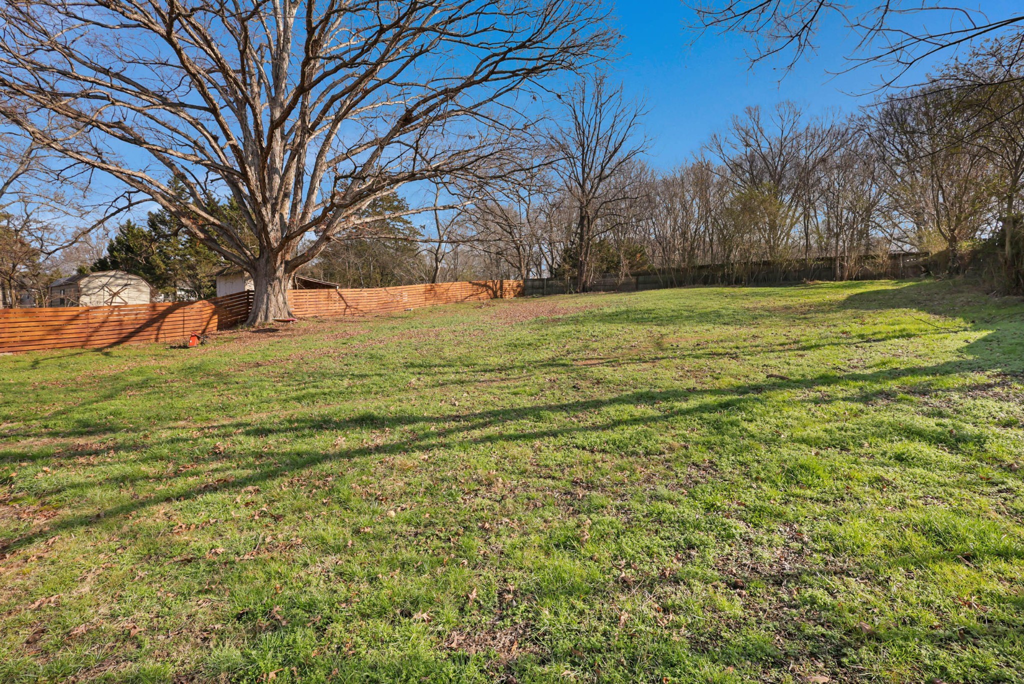 1881 Three Notch Road Ringgold, GA 30736 - Photo 27 of 27 a view of a field with trees