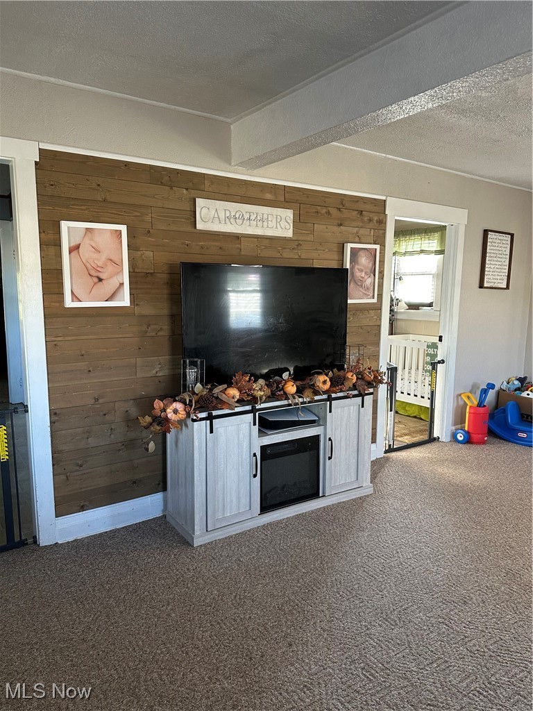 422 Moose Ridge Road Woodsfield, OH 43793 - Photo 25 of 43 Living area with wooden walls, carpet, and a textured ceiling