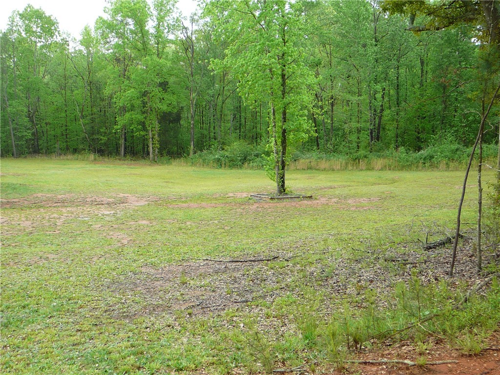 401 Gambrell Road Townville, SC 29689 - Photo 18 of 21 Gallery Image 18