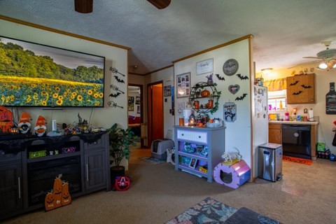 231233 Rivers Edge Lane Sevierville, TN 37862 - Photo 25 of 39