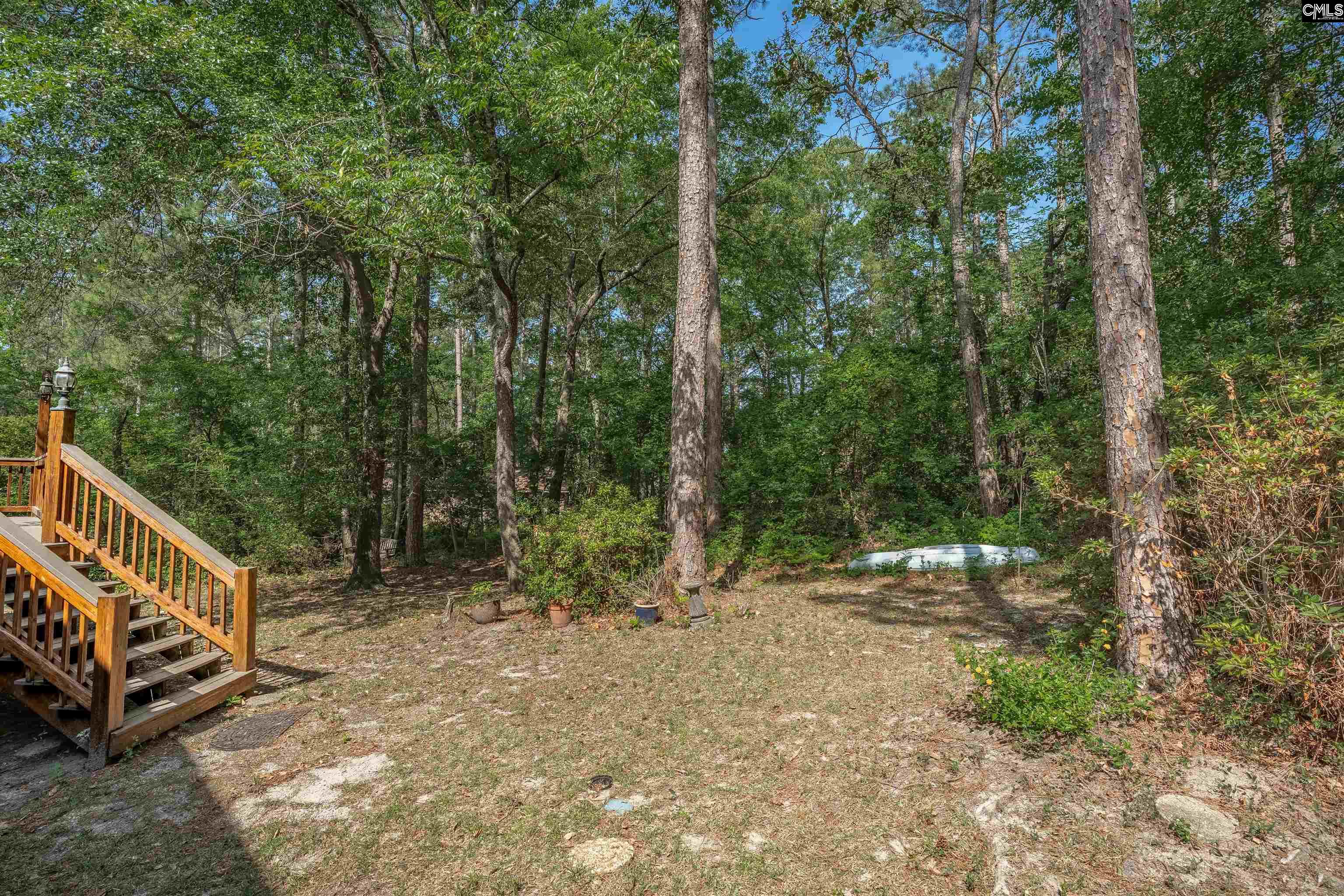 827 East Springs Road Columbia, SC 29223 - Photo 45 of 52