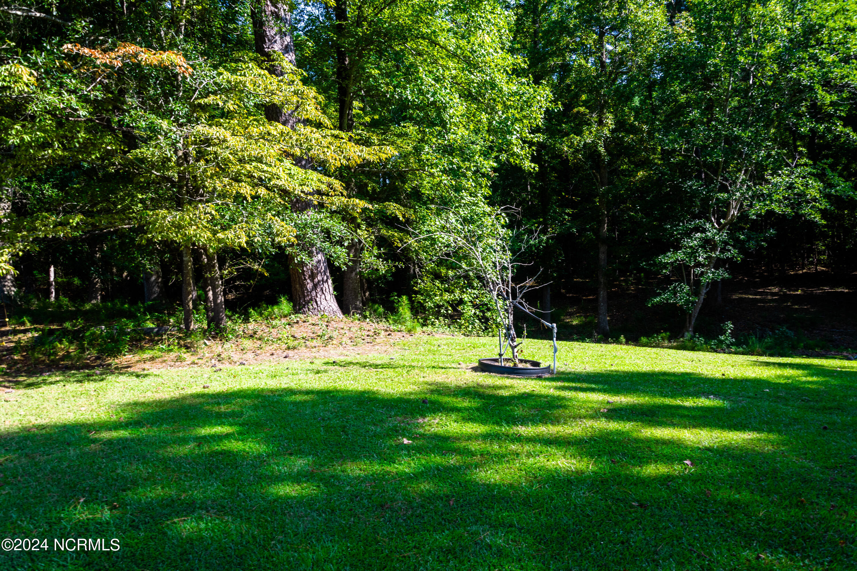 115 Youpon Drive Hubert, NC 28539 - Photo 20 of 76 _DSC1676