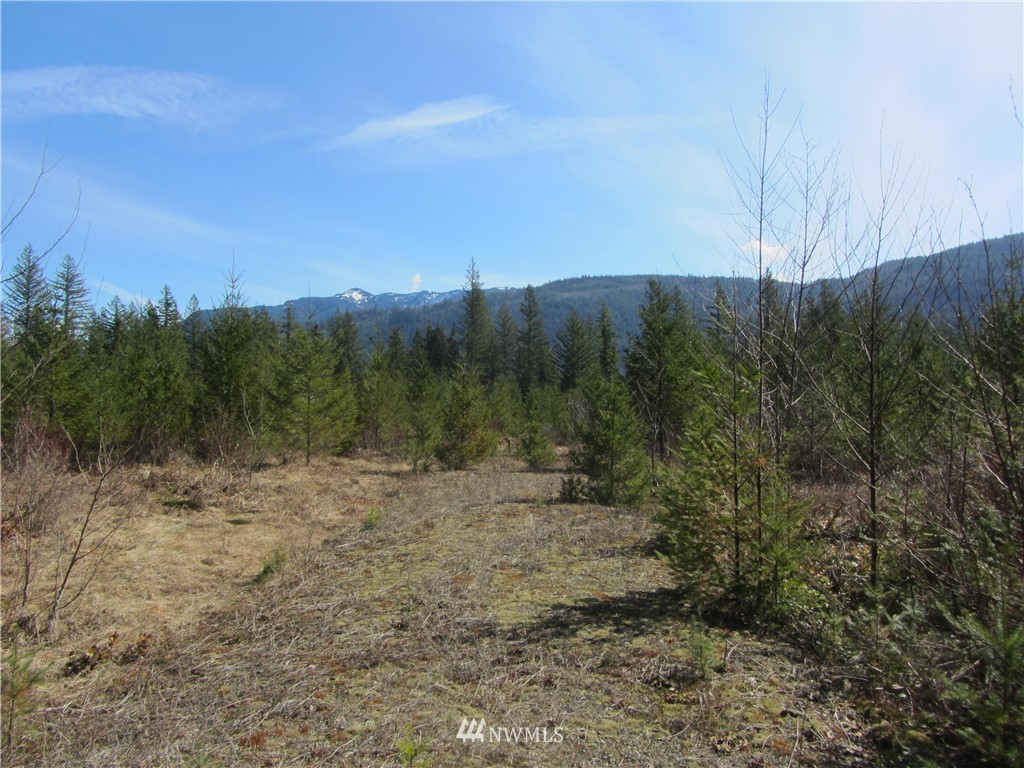 9126 Heady Road Maple Falls, WA 98266 - Photo 1 of 5