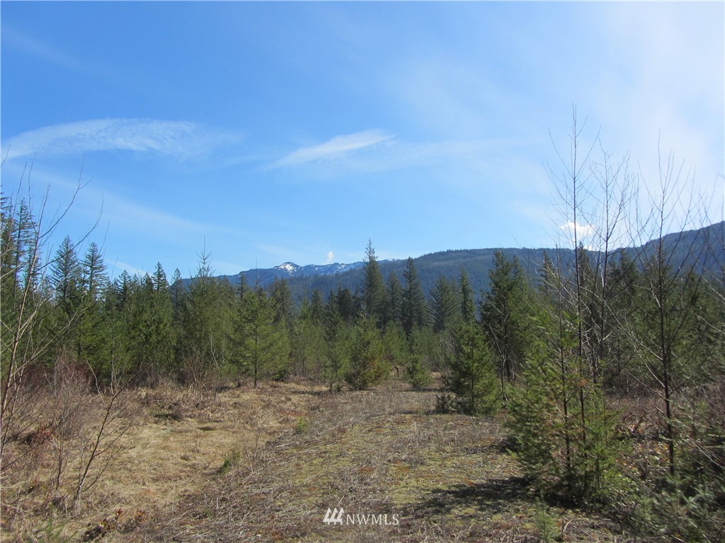9126 Heady Road Maple Falls, WA 98266 - Photo 2 of 5