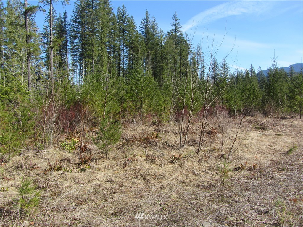 9126 Heady Road Maple Falls, WA 98266 - Photo 3 of 5