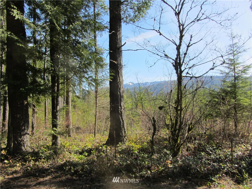 9126 Heady Road Maple Falls, WA 98266 - Photo 4 of 5