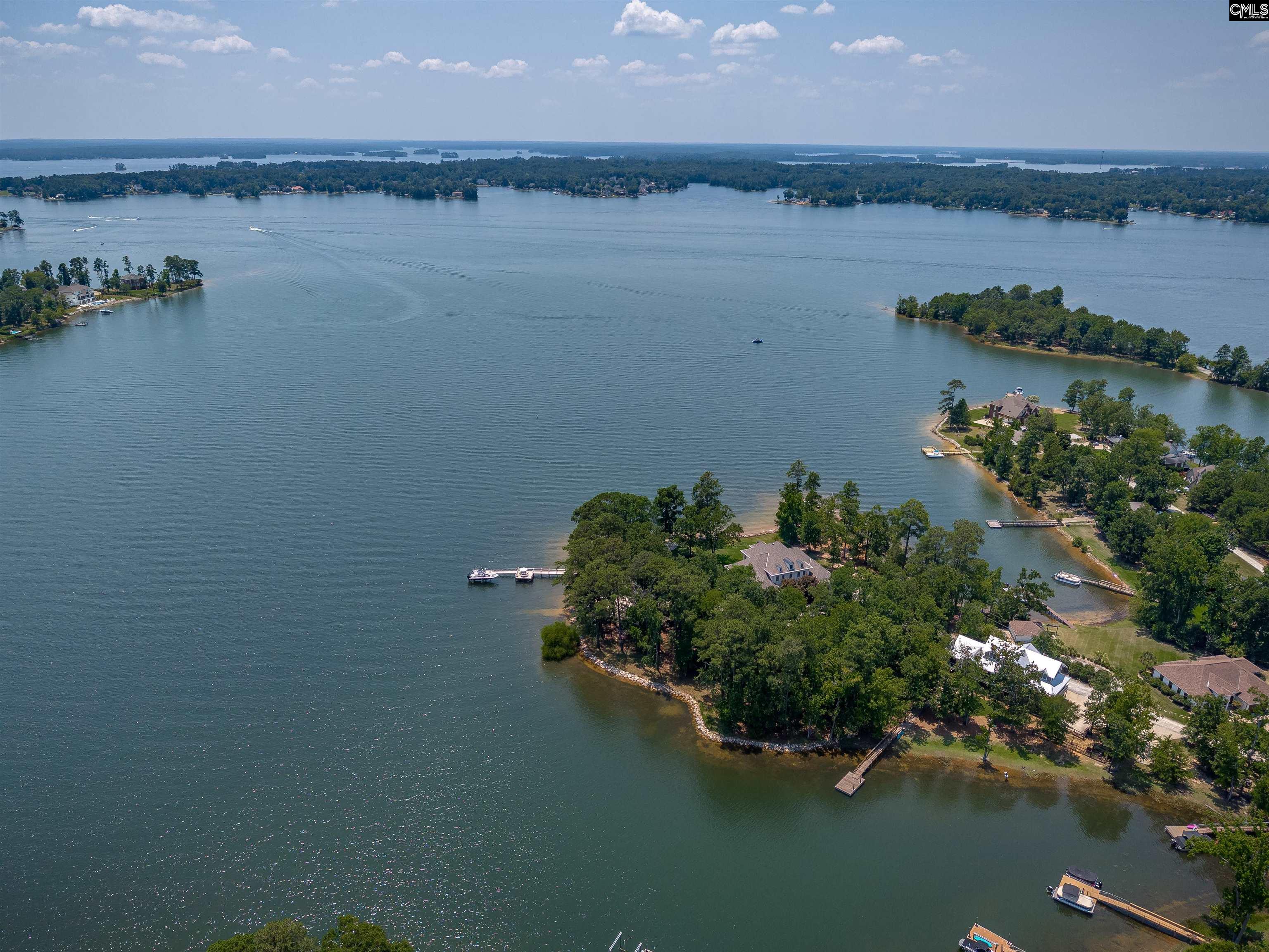 331 3 Point Road Chapin, SC 29036 - Photo 84 of 89
