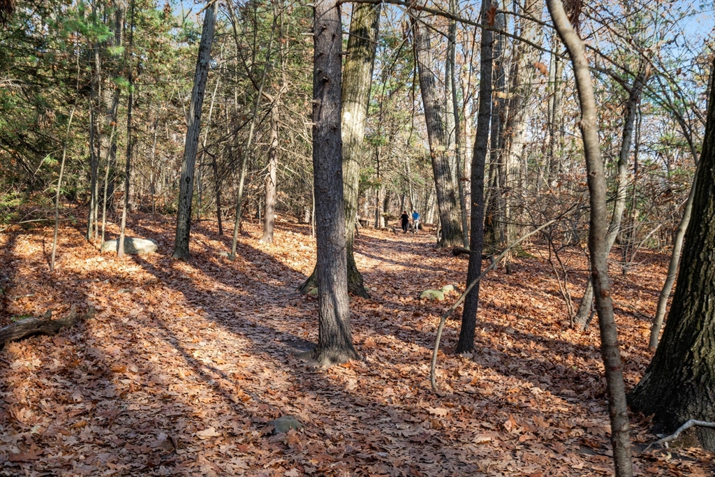 86 Abbott Road Wellesley, MA 02481 - Photo 37 of 40