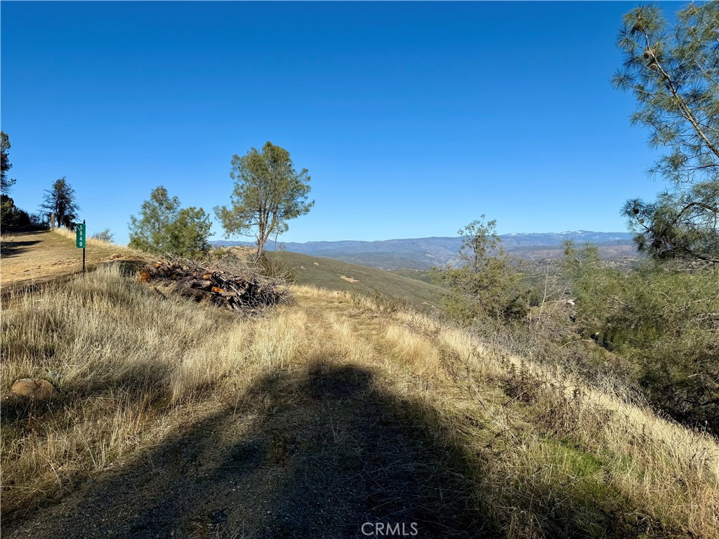 5847 West Whitlock Road Mariposa, CA 95338 - Photo 11 of 33 Driveway to second building site with mobile home