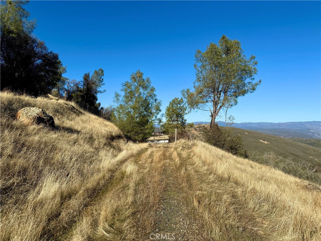 5847 West Whitlock Road Mariposa, CA 95338 - Photo 12 of 33 a view of a yard with a tree