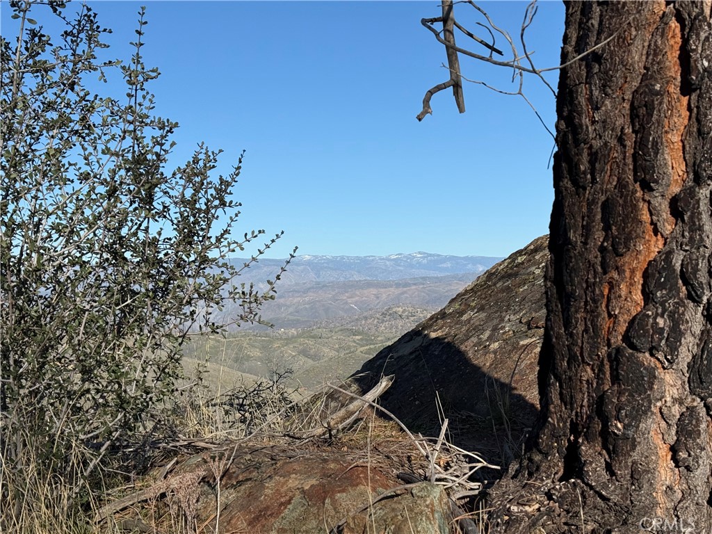 5847 West Whitlock Road Mariposa, CA 95338 - Photo 20 of 33 a view of a backyard of the house