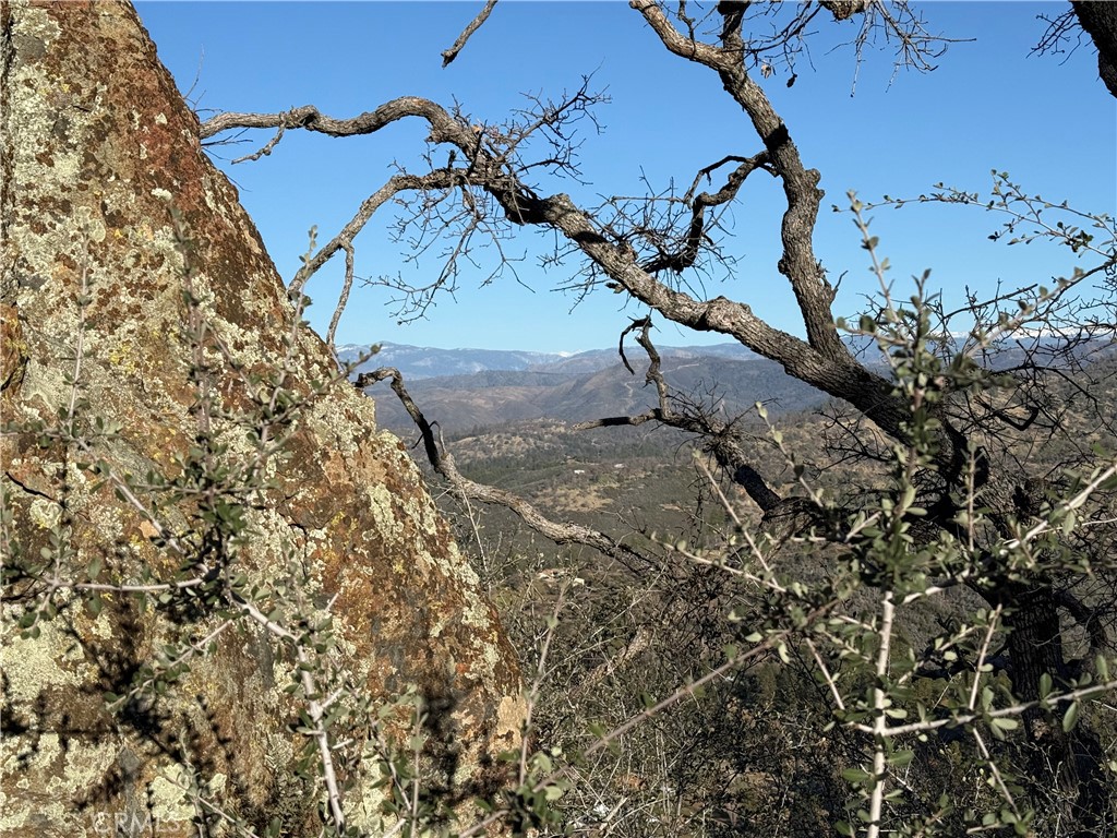 5847 West Whitlock Road Mariposa, CA 95338 - Photo 21 of 33 a view of a tree in a yard