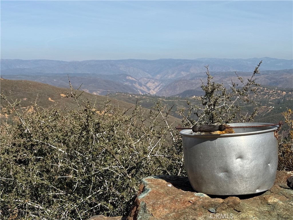 5847 West Whitlock Road Mariposa, CA 95338 - Photo 28 of 33 a view of a water heater and a plant in a yard