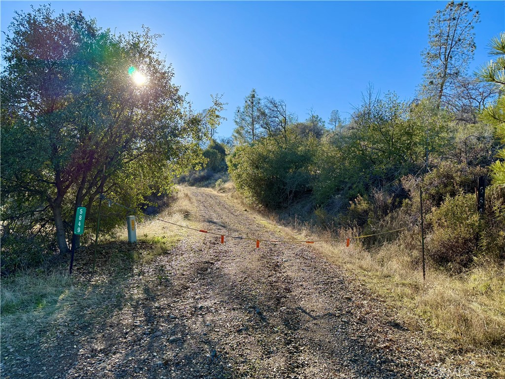 5847 West Whitlock Road Mariposa, CA 95338 - Photo 4 of 33 a view of a yard with a tree