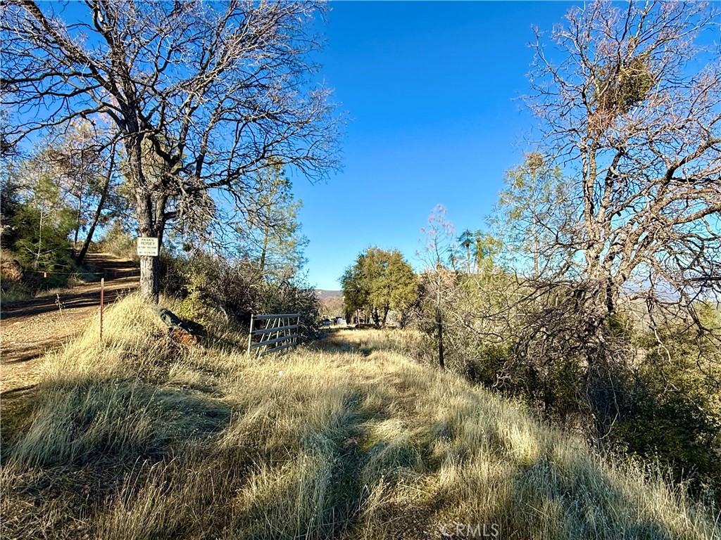 5847 West Whitlock Road Mariposa, CA 95338 - Photo 5 of 33 a view of swimming pool with a yard