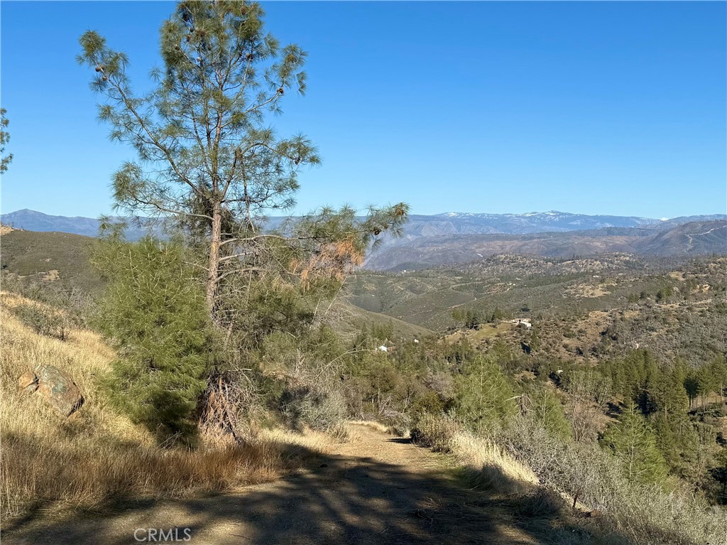 5847 West Whitlock Road Mariposa, CA 95338 - Photo 10 of 33 a view of a yard with a tree