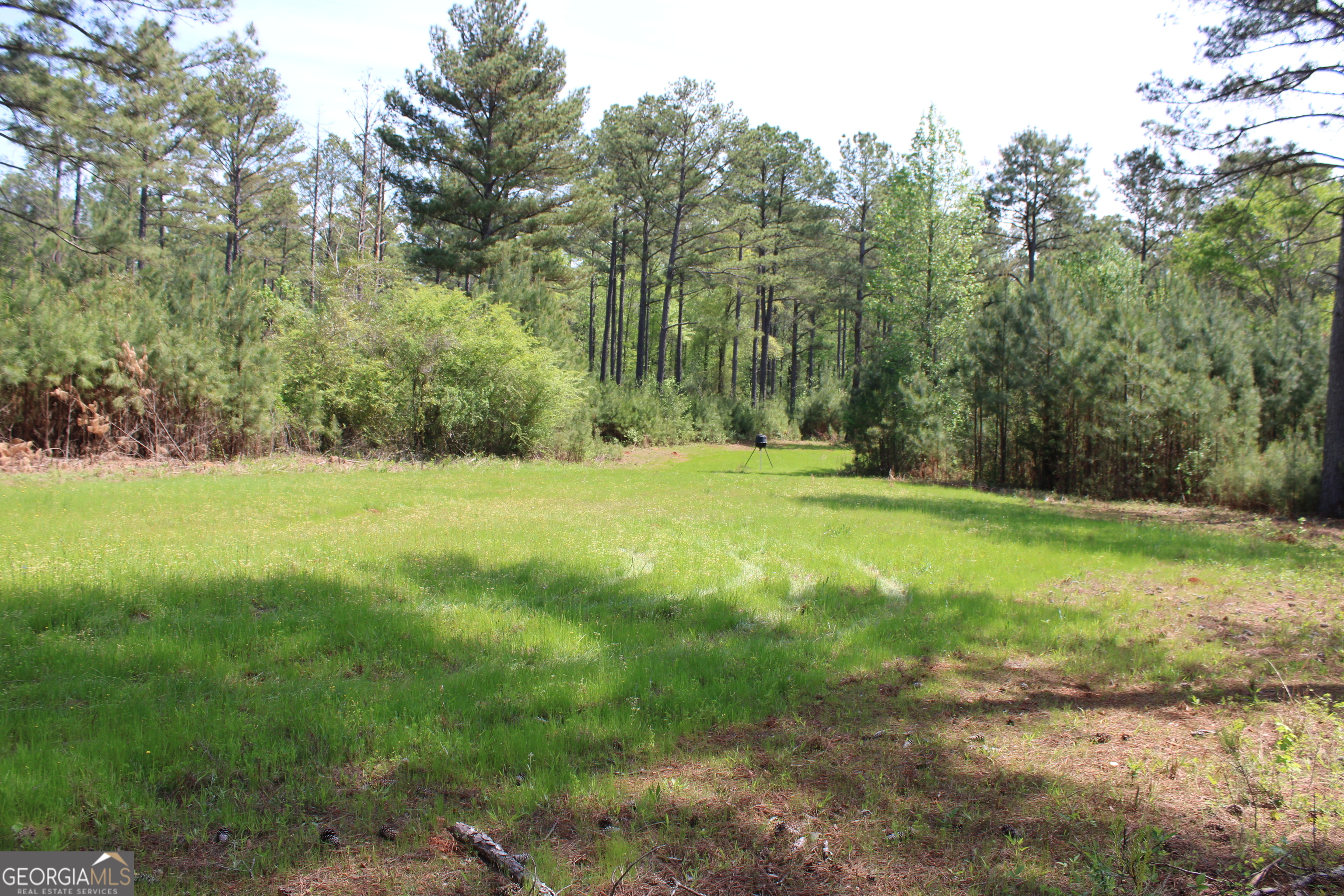 0 Ruffner Road The Rock, GA 30285 - Photo 34 of 51 a view of outdoor space with trees all around
