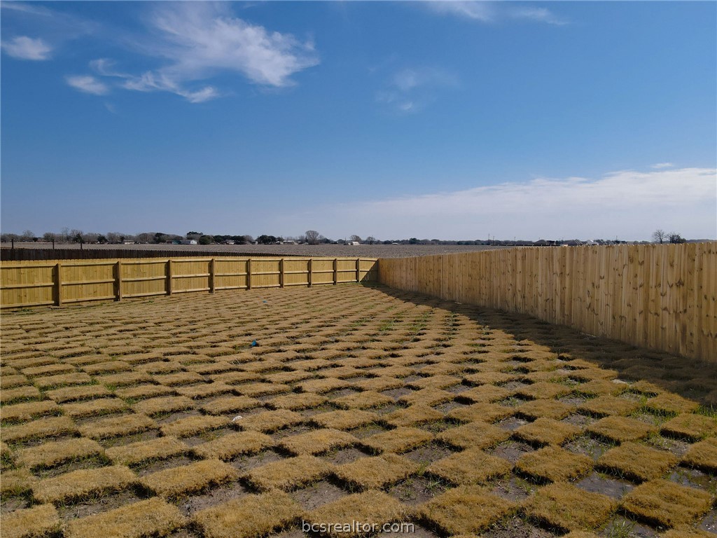 161 Turnrow Cove Snook, TX 77879 - Photo 29 of 32