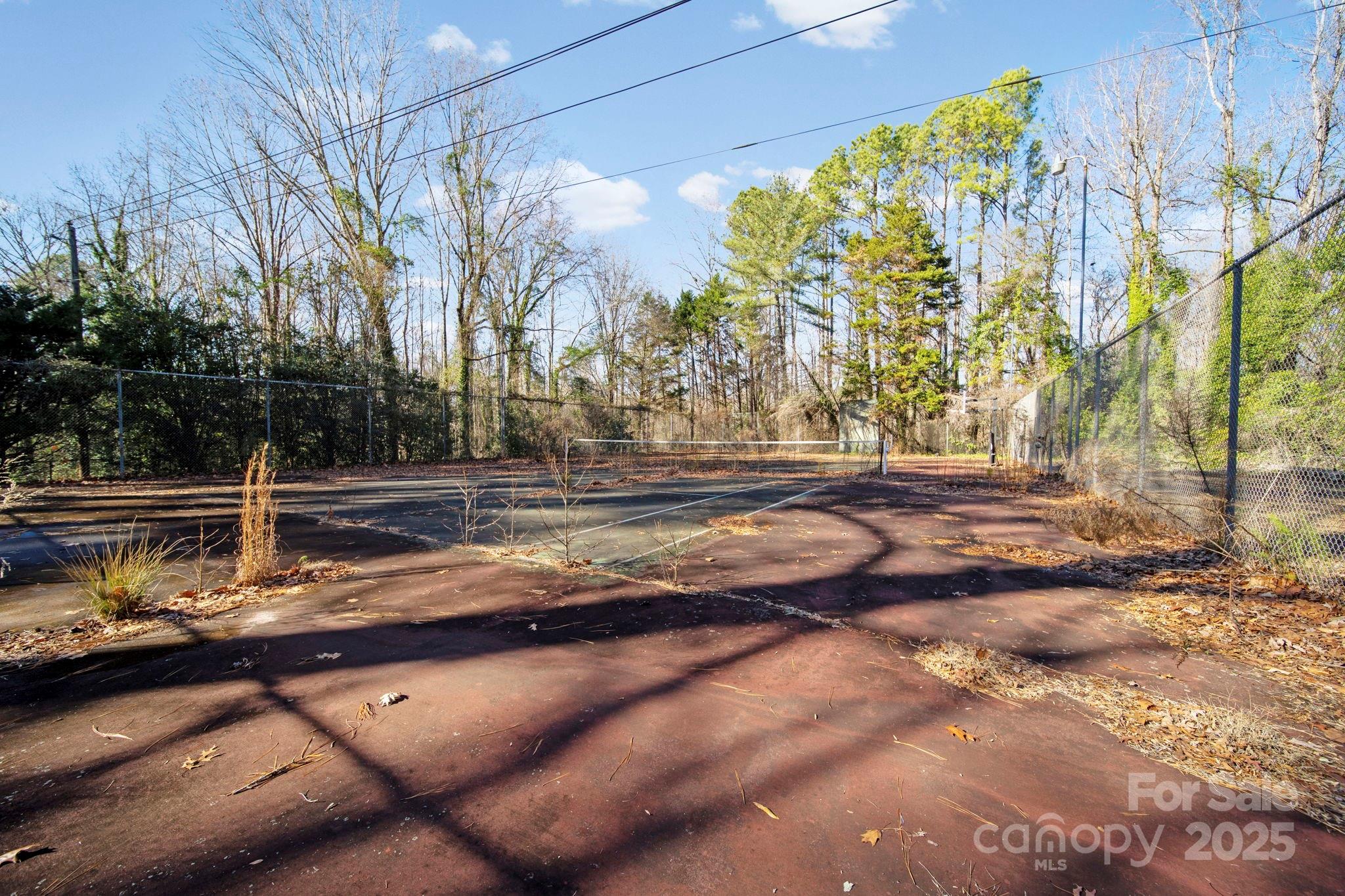 415 Love Lane Rockingham, NC 28379 - Photo 10 of 46 a view of a yard