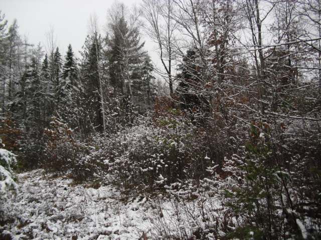 7-8 Lee Road Tomahawk, WI 54487 - Photo 6 of 9 Gallery Image 6