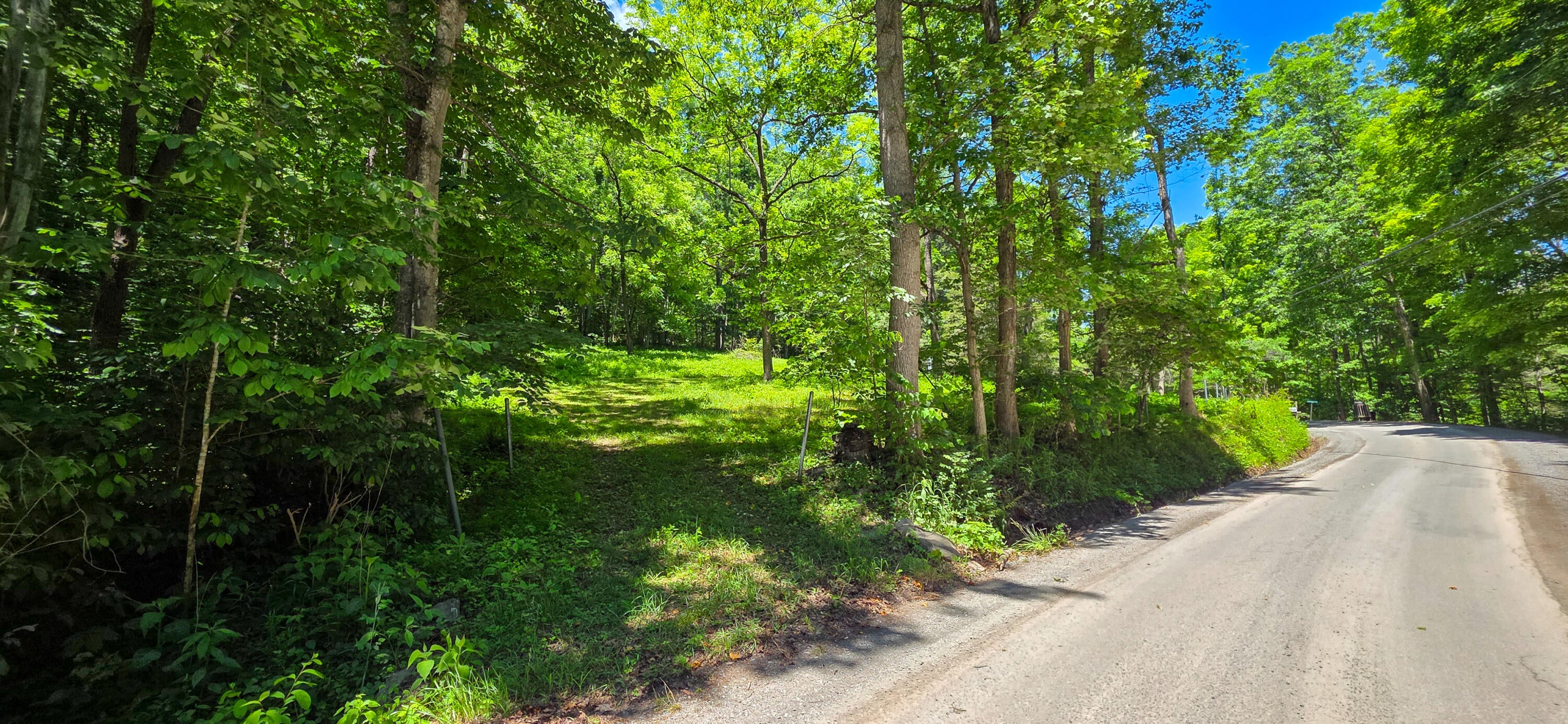 Big Creek Road Hinton, WV 25951 - Photo 1 of 18 Gallery Image 1
