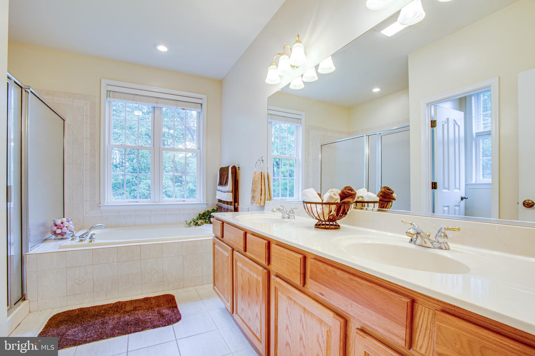 9161 Caledon Road King George, VA 22485 - Photo 27 of 77 Master bath