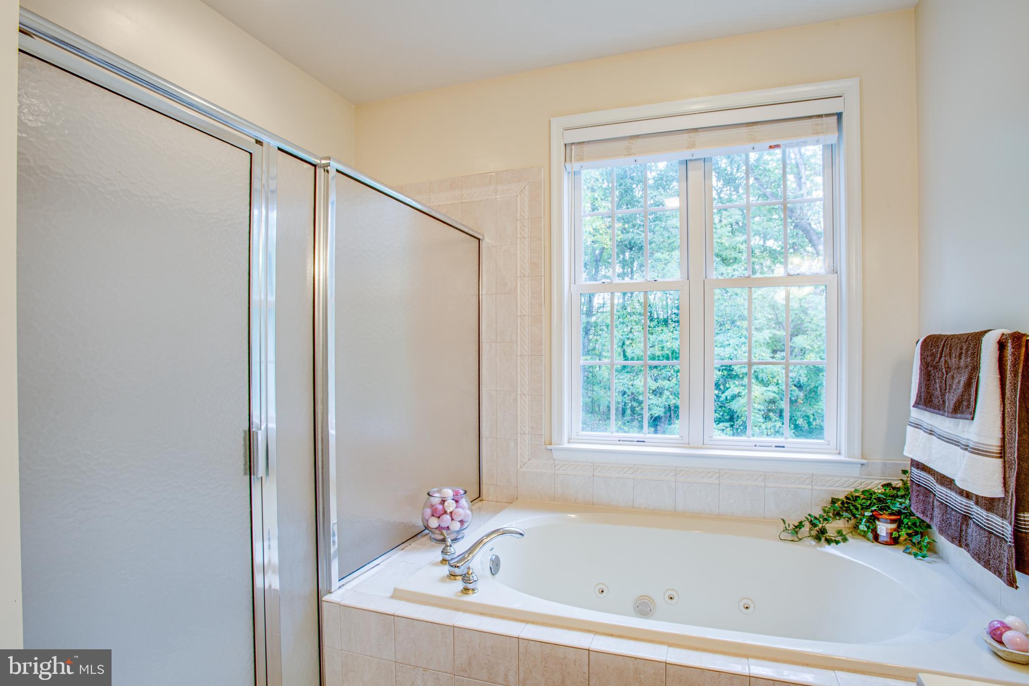 9161 Caledon Road King George, VA 22485 - Photo 28 of 77 Master bath
