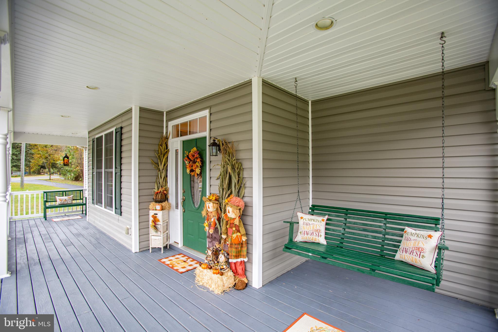 9161 Caledon Road King George, VA 22485 - Photo 5 of 77 Front porch swing