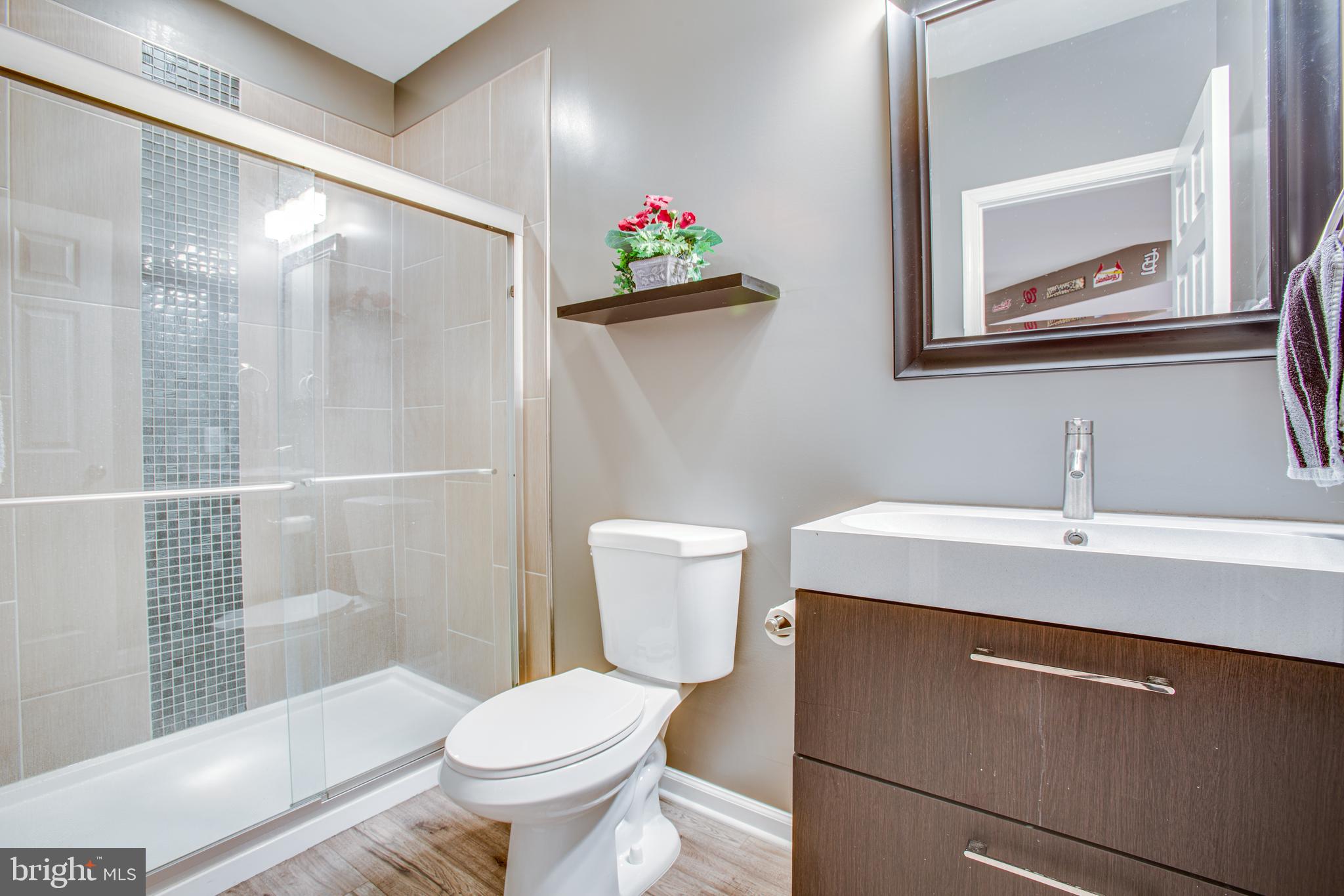 9161 Caledon Road King George, VA 22485 - Photo 42 of 77 Basement full bathroom