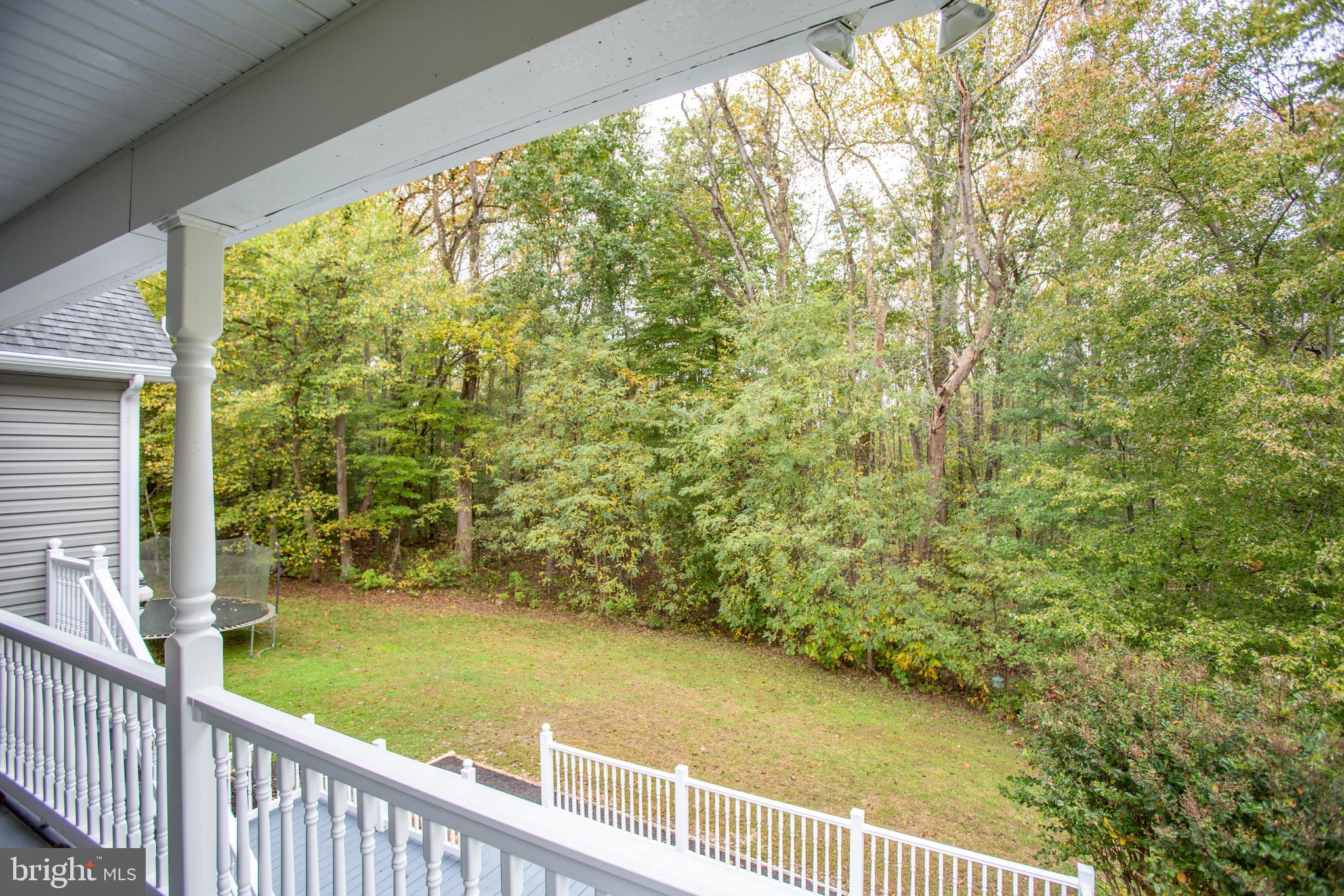 9161 Caledon Road King George, VA 22485 - Photo 49 of 77 View of backyard