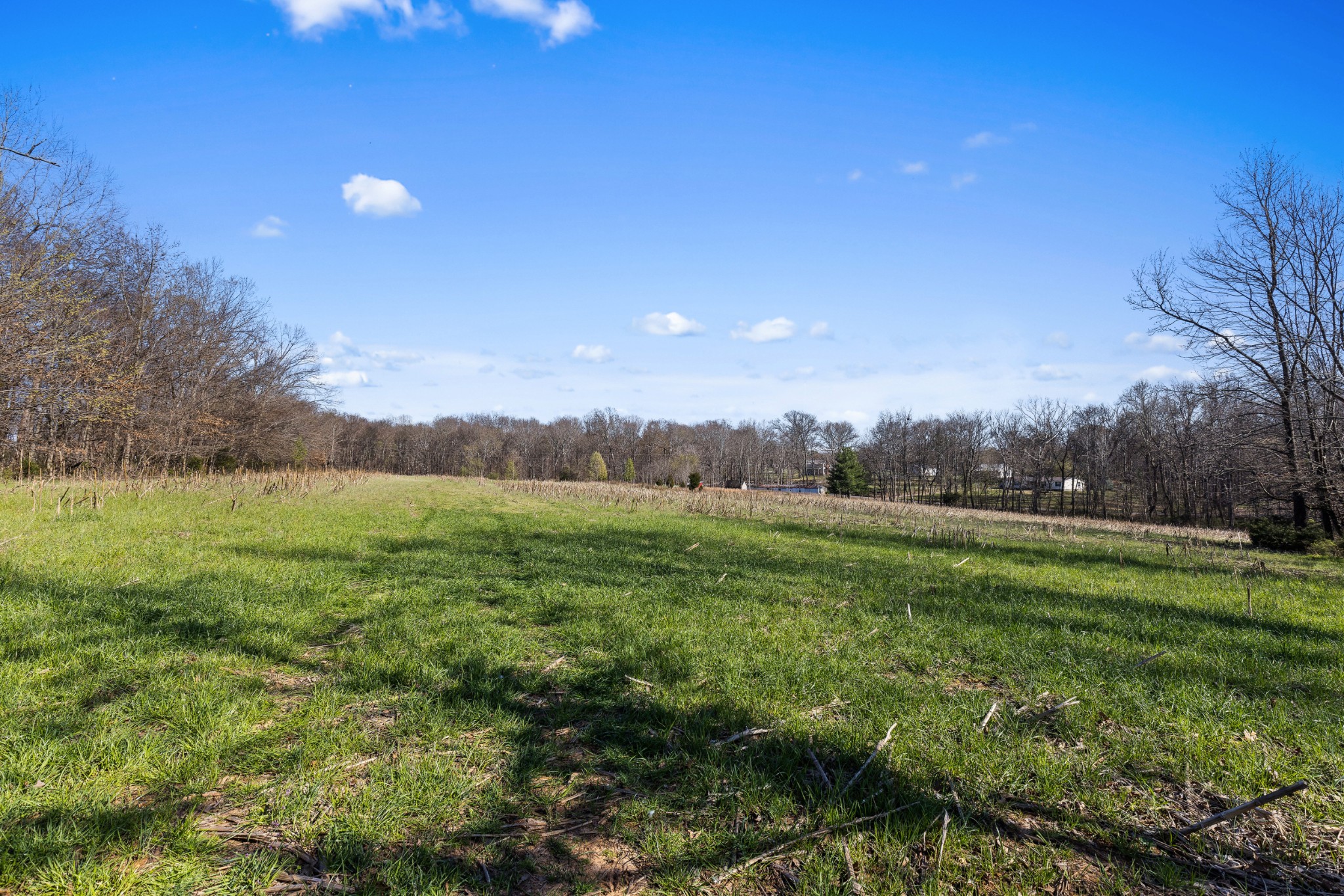 0 Fykes Grove Road Cedar Hill, TN 37032 - Photo 11 of 19