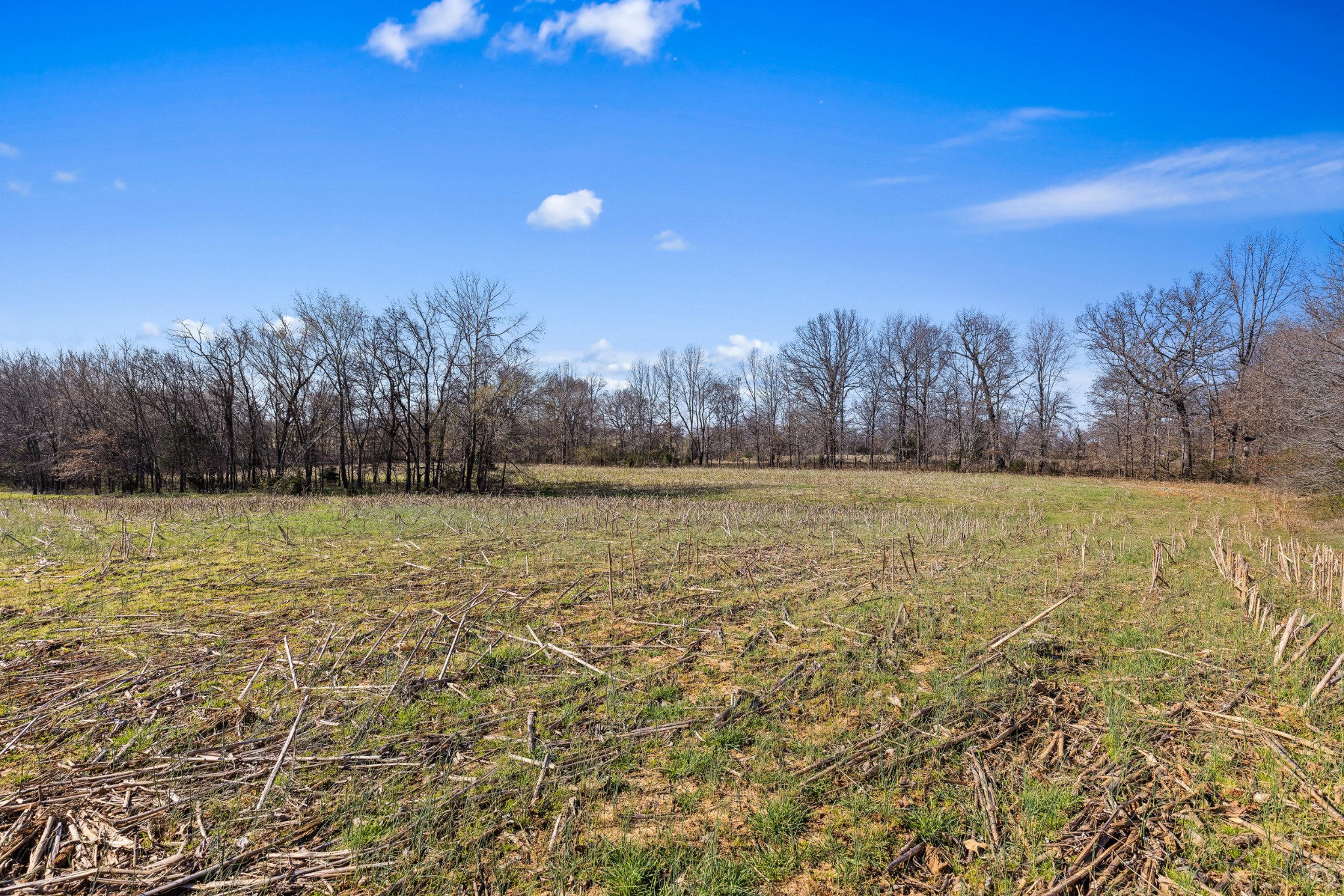 0 Fykes Grove Road Cedar Hill, TN 37032 - Photo 12 of 19