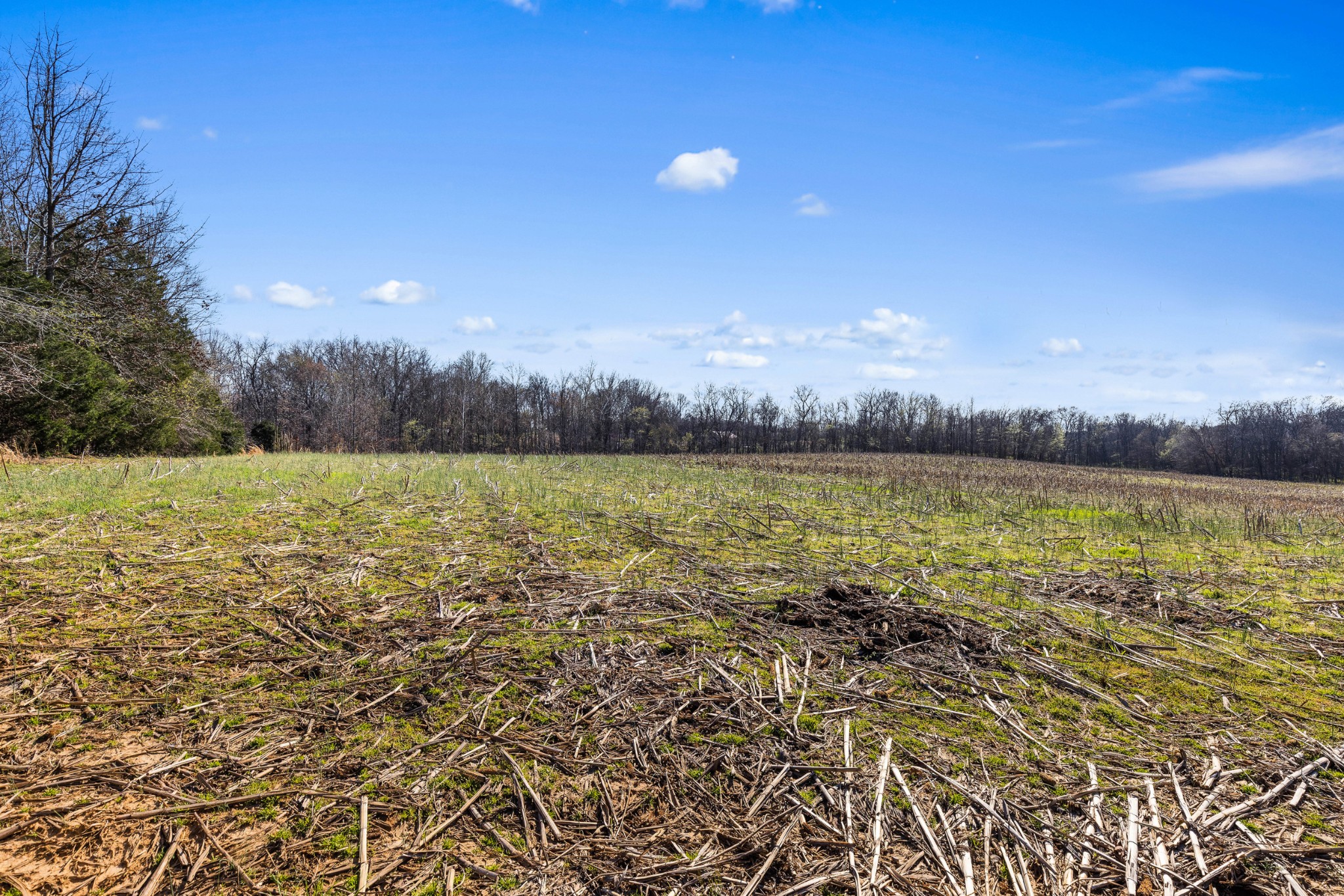 0 Fykes Grove Road Cedar Hill, TN 37032 - Photo 16 of 19