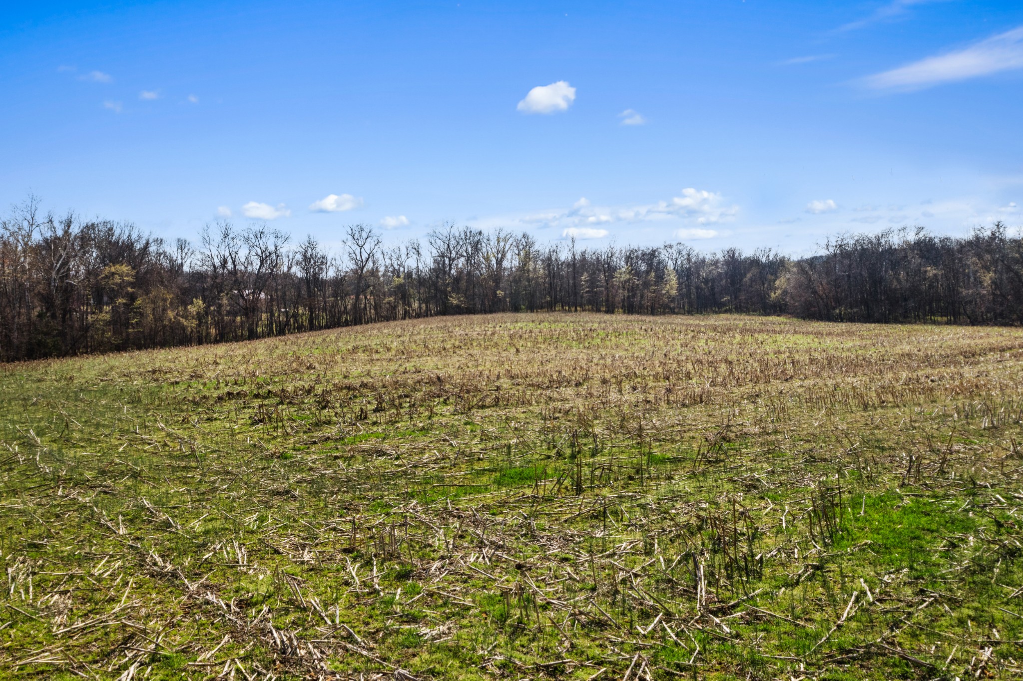 0 Fykes Grove Road Cedar Hill, TN 37032 - Photo 17 of 19