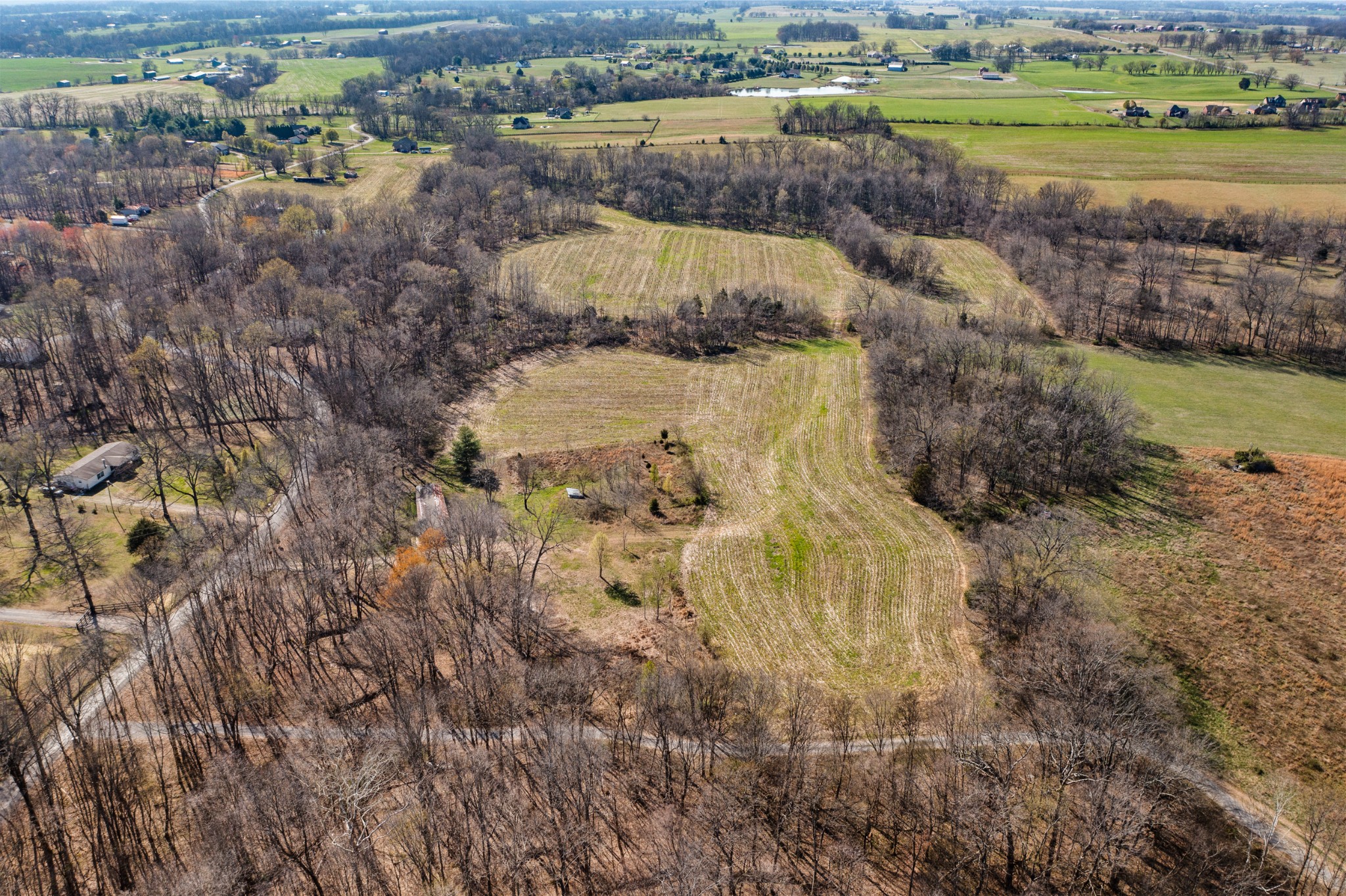 0 Fykes Grove Road Cedar Hill, TN 37032 - Photo 4 of 19