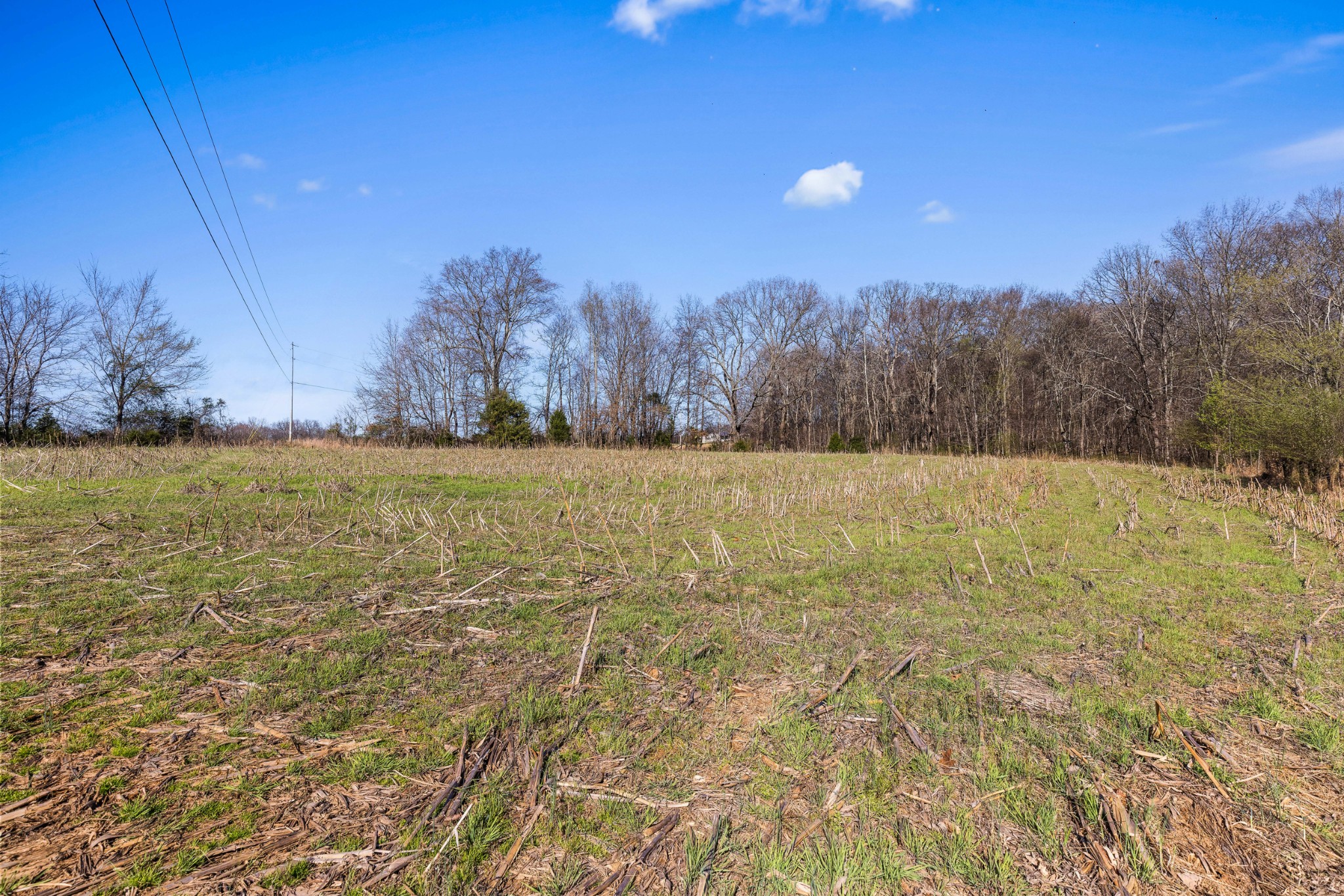 0 Fykes Grove Road Cedar Hill, TN 37032 - Photo 5 of 19