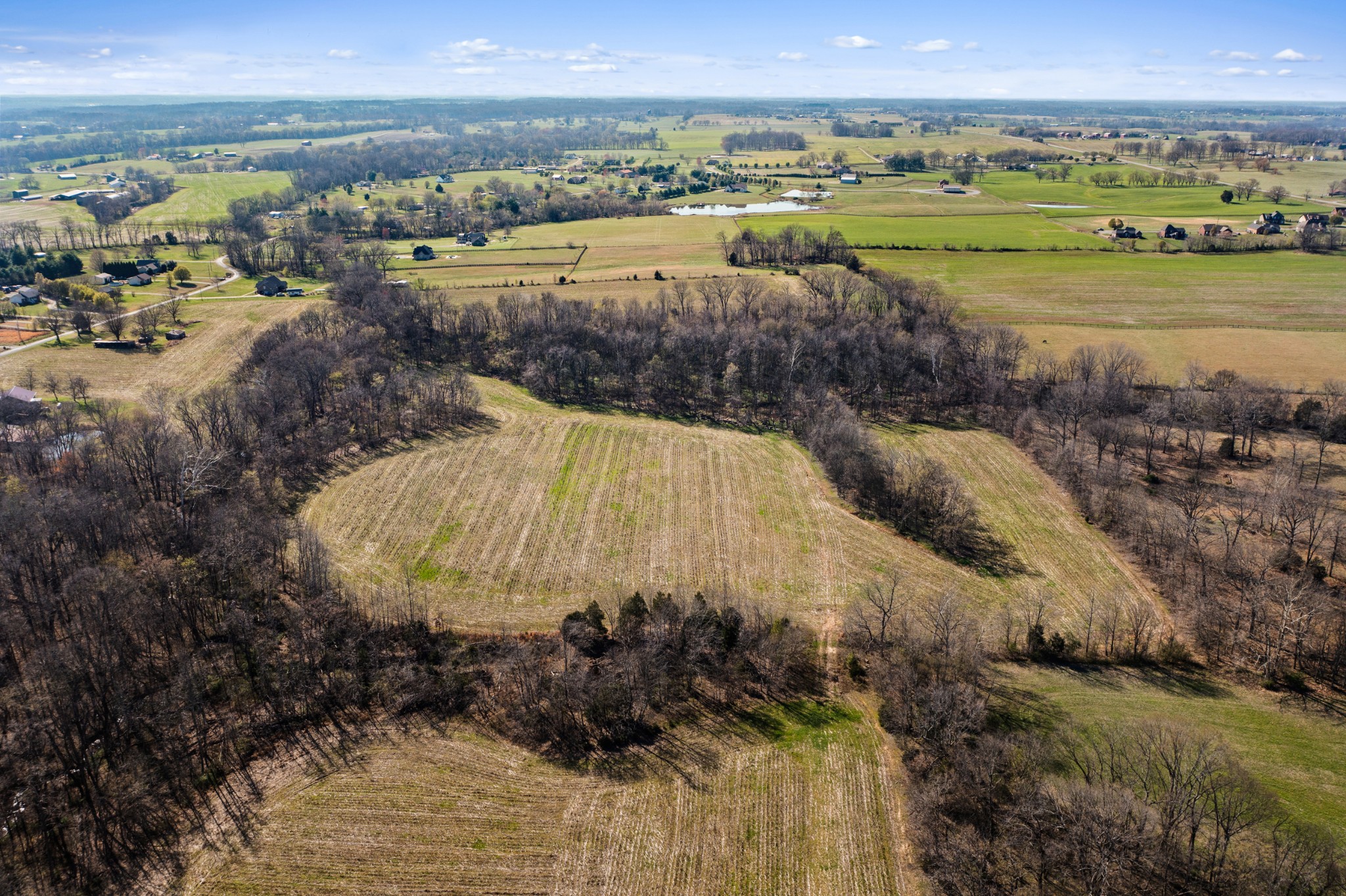 0 Fykes Grove Road Cedar Hill, TN 37032 - Photo 6 of 19