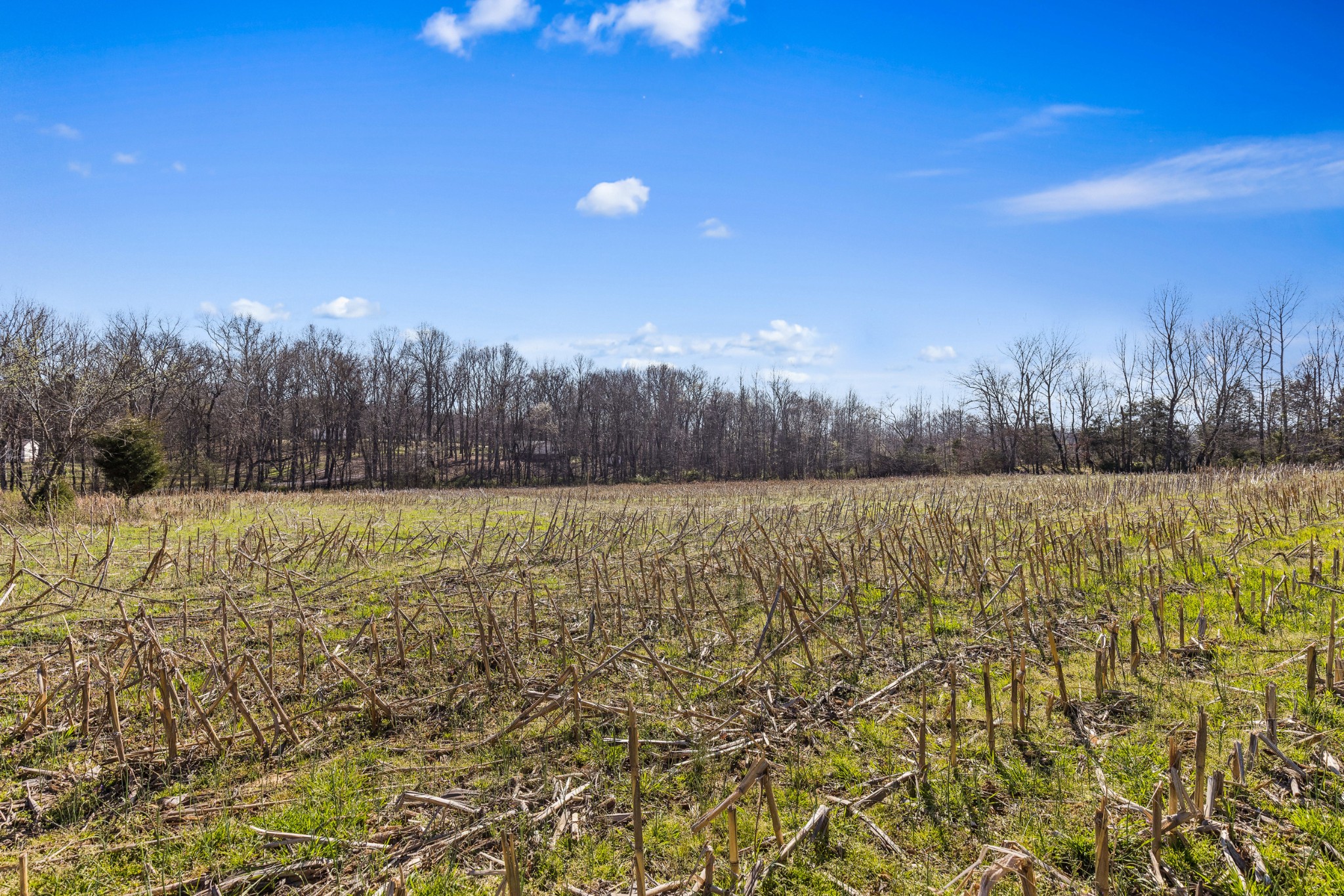 0 Fykes Grove Road Cedar Hill, TN 37032 - Photo 9 of 19