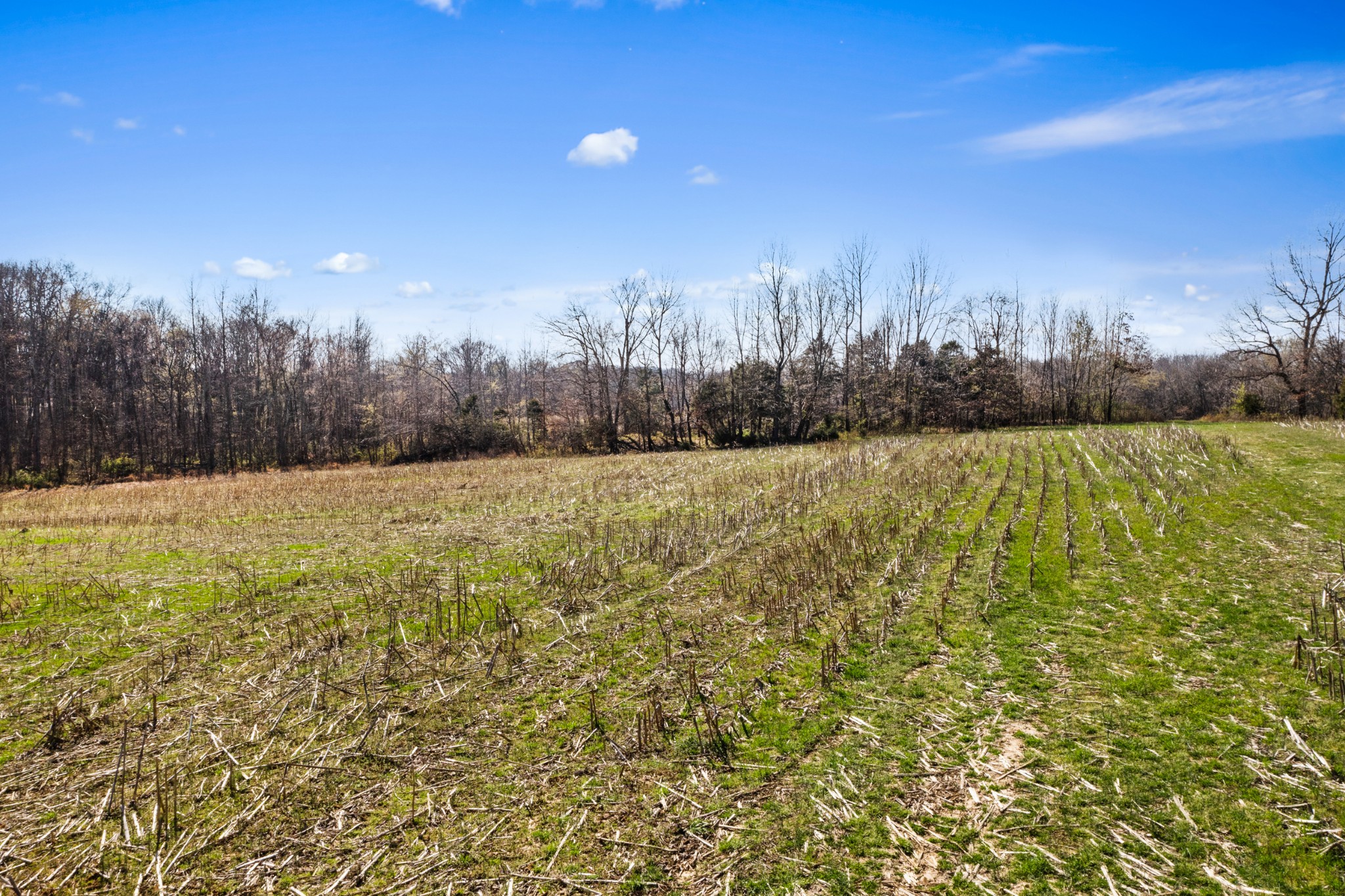 0 Fykes Grove Road Cedar Hill, TN 37032 - Photo 10 of 19
