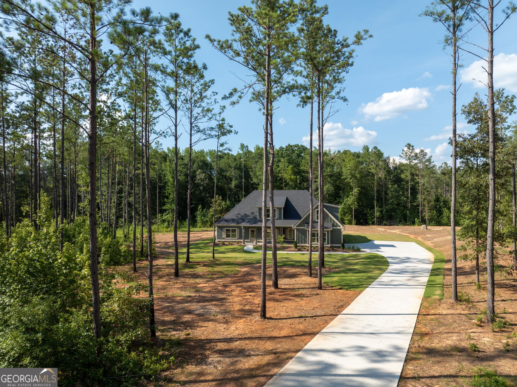 297 Bishop Road Meansville, GA 30256 - Photo 2 of 77 a view of a park with swings and slides