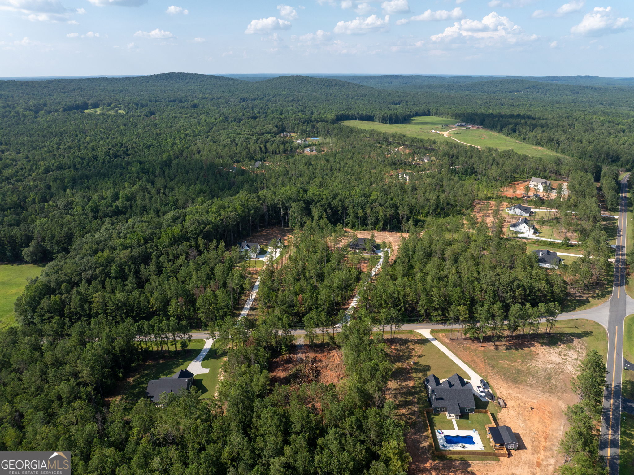 297 Bishop Road Meansville, GA 30256 - Photo 62 of 77 an aerial view of residential houses with outdoor space and trees