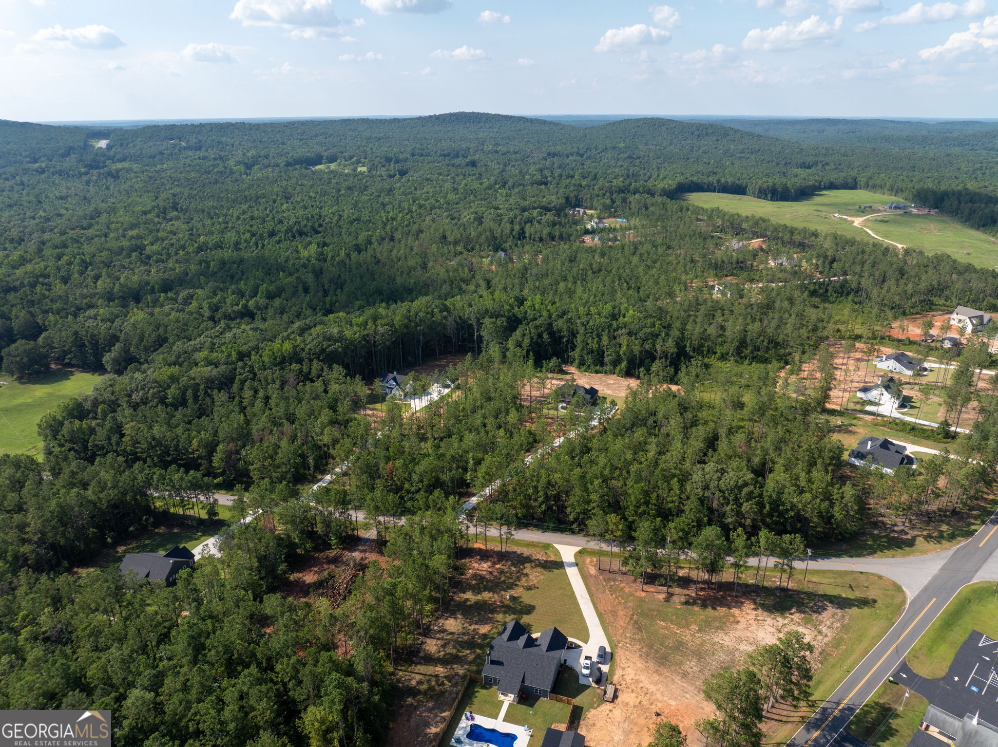 297 Bishop Road Meansville, GA 30256 - Photo 64 of 77 an aerial view of residential house with outdoor space and trees all around