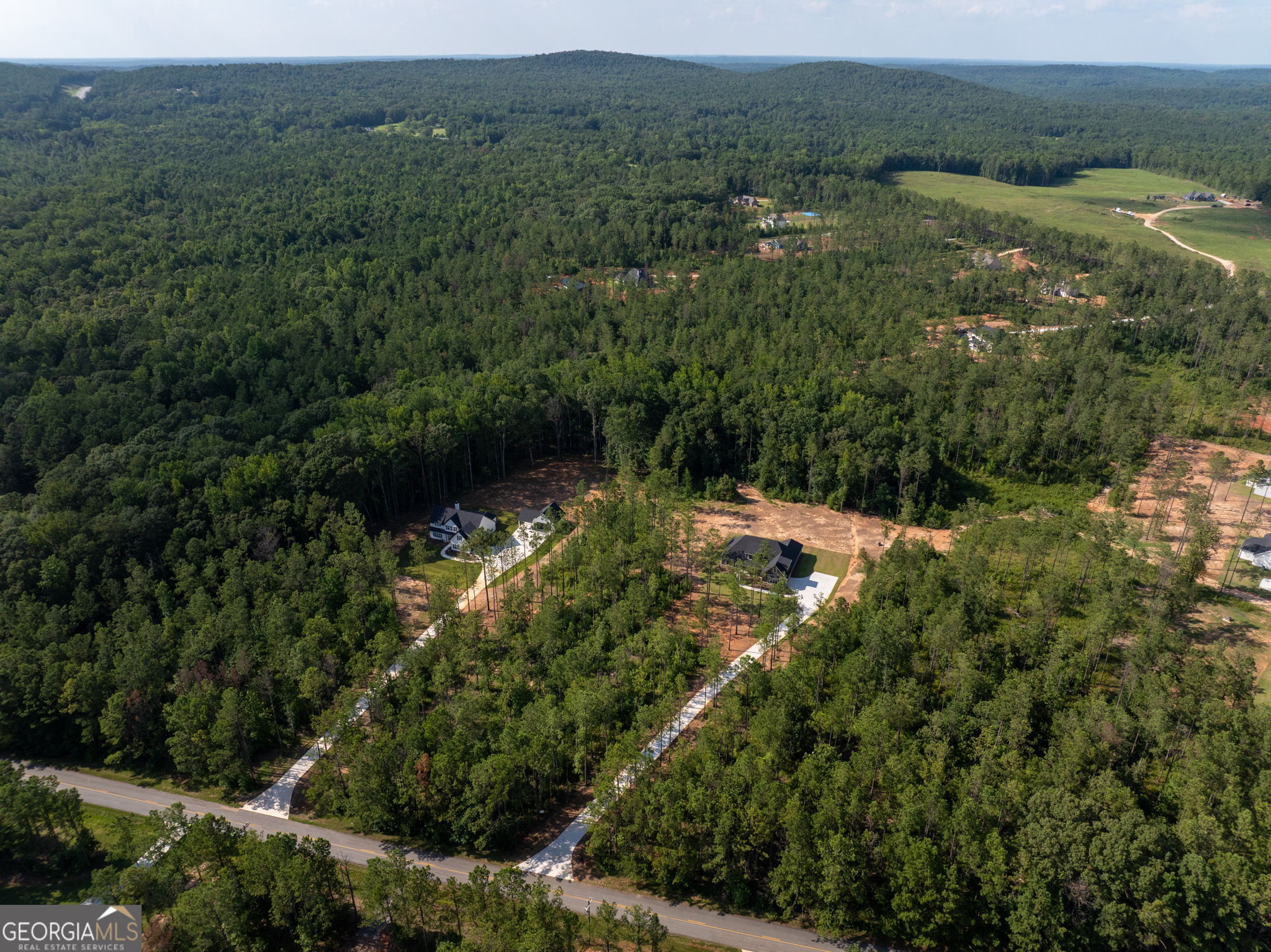 297 Bishop Road Meansville, GA 30256 - Photo 66 of 77 an aerial view of residential house with outdoor space and trees all around