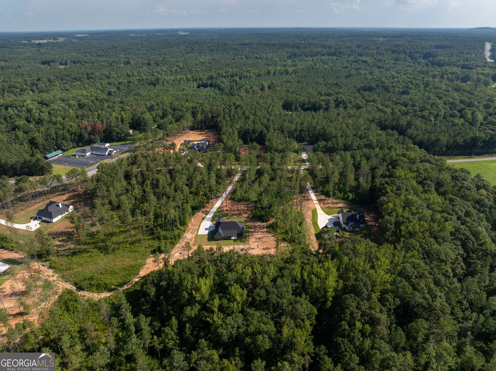 297 Bishop Road Meansville, GA 30256 - Photo 74 of 77 a aerial view of residential houses with outdoor space and trees